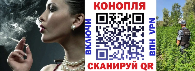 МЕФ Демидов