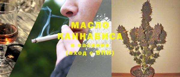 сатива Богданович