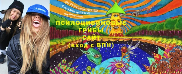 тгк Протвино