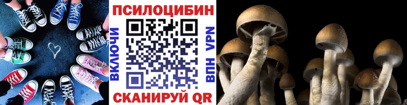 Галлюциногенные грибы GOLDEN TEACHER  Демидов 
